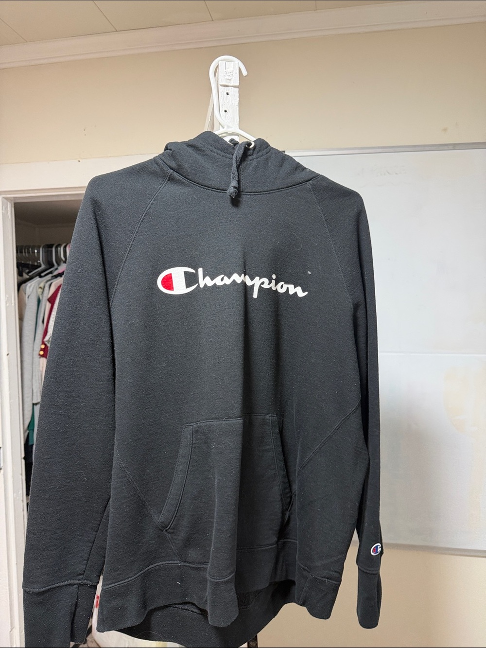 Champion Sweater